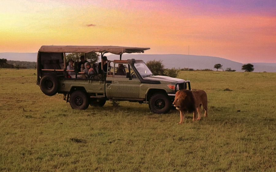 safari-Kenya